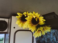 BulliHoliday-Wohnmobil-mieten-Helena-16